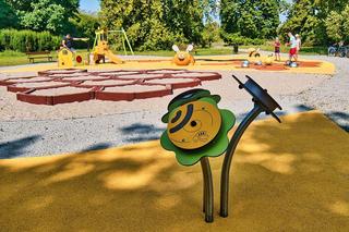 Pszczeli plac zabaw powstał w Bydgoszczy. Są tam gumowe pszczoły i piaskownica w plastrze miodu