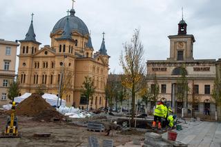 Plac Wolności coraz bardziej zielony