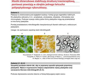 Matura 2025 biologia rozszerzona: ODPOWIEDZI do wszystkich zadań, gotowe rozwiązania matury z biologii rozszerzonej - Formuła 2015 [9.05.2025]	