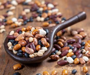 Fasola - rodzaje, właściwości i zastosowania kulinarne fasoli