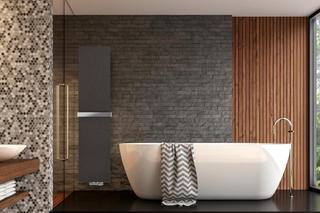 Designerskie grzejniki łazienkowe. Oto nasze inspiracje