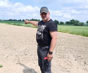 Żurawie zjadły mi kukurydzę