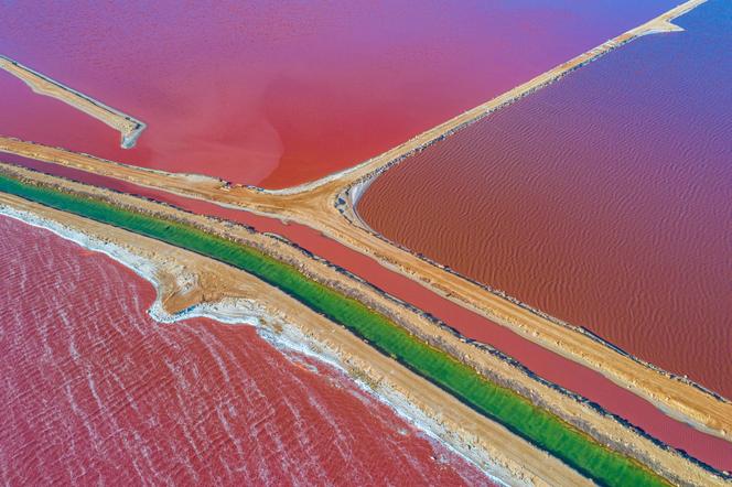  Pink Lake, Australia