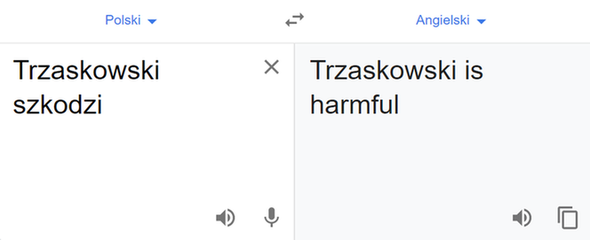 Wybory 2020. Tłumacz Google mówi o Dudzie i Trzaskowskim: Duda is ok; Trzaskowski is...