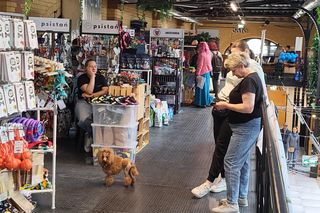 Futrzasty zawrót głowy w Bydgoszczy! Za nami Targi dla Zwierzaków w Gwar Foodhall