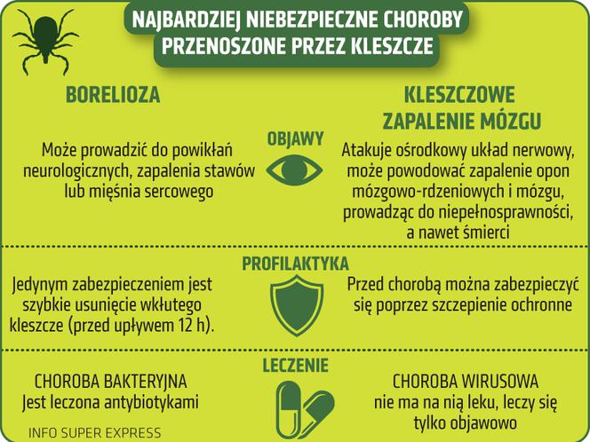 Choroby roznoszone przez kleszcze