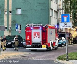 Tragedia w Tychach. Pies wypadł z okna mieszkania. Zwierzę zginęło