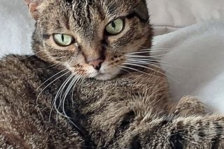 To ukochane zwierzaki naszych Czytelników!