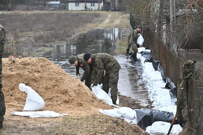 Powódź pod Wyszkowem. Wojsko pomaga zagrożonym gospodarstwom