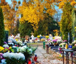 Elektroniczna karta zgonu i danych o grobach wejdą w życie w 2023! Będzie również instytucja koronera!