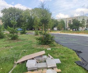 Park kieszonkowy powstający przy ul. Wyszyńskiego w Siedlcach