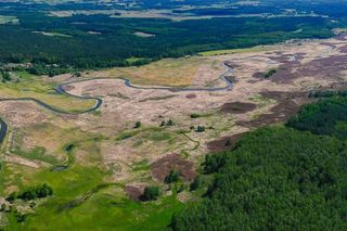 „Polska Amazonia” i „Polski Wersal”. Sprawdź, czy znasz największe atrakcje Podlasia
