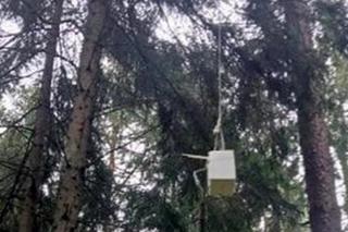 W lesie na Podlasiu znaleziono wiszący na drzewie tajemniczy obiekt. „Litery zapisane cyrylicą”