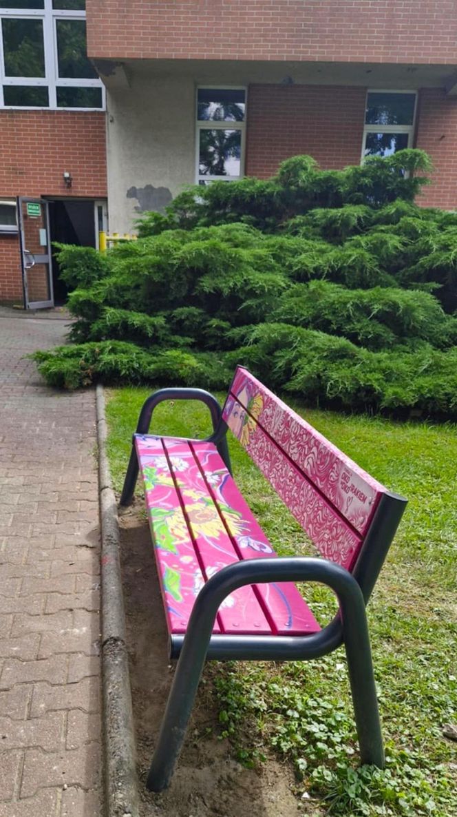 Nietypowa, bo różowa, ławeczka w Dąbrowie Górniczej. To symbol wsparcia dla pacjentów onkologicznych