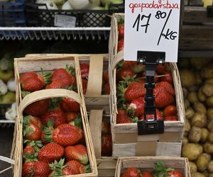  Ceny nowalijek na warszawskich bazarach szokują. Byliśmy i sprawdziliśmy ile trzeba zapłacić