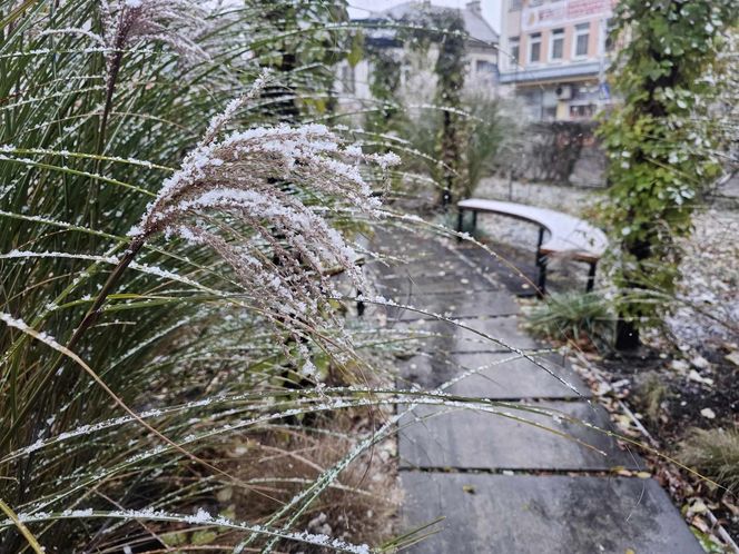 Pierwszy śnieg na Podkarpaciu