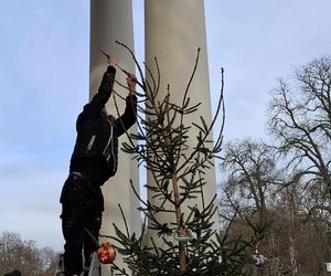 Udekorowana choinka stanęła na środku rzeki w Kaliszu