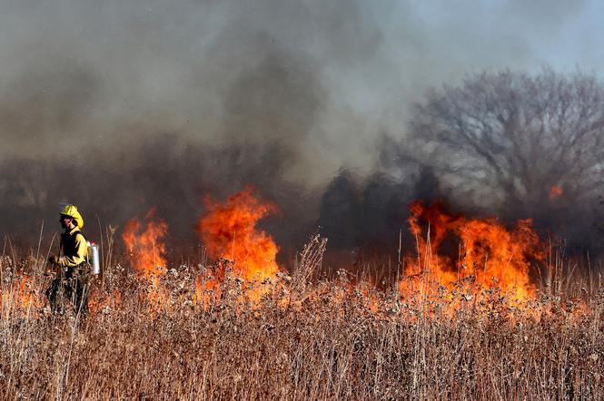 PODKARPACKIE: Nie wypalajcie traw! Taki pożar może skończyć się tragicznie – apelują strażacy