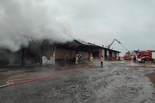 Czerwone. Tragiczny pożar tartaku. Jedna osoba nie żyje [2.02.2023]