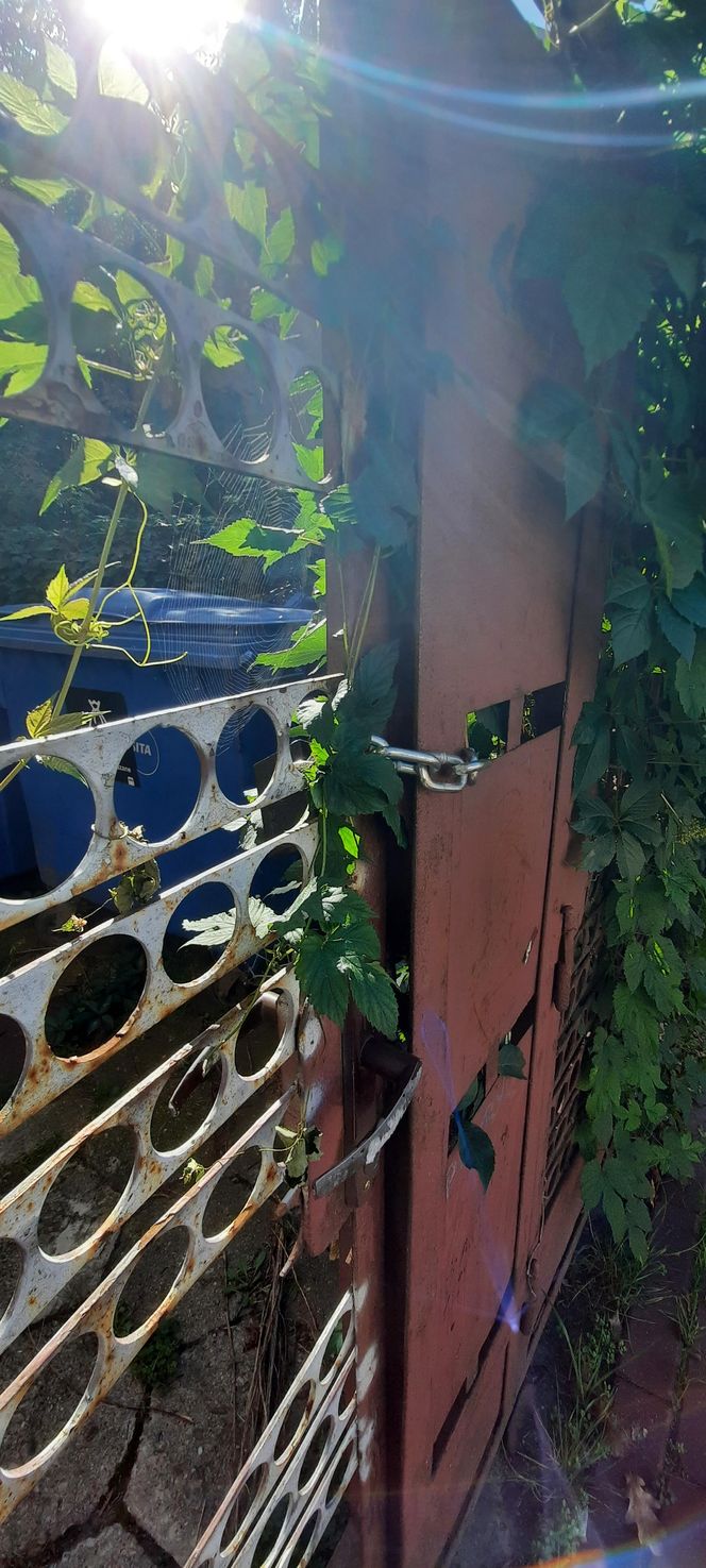 Warszawa, ul.Byczyńska 22