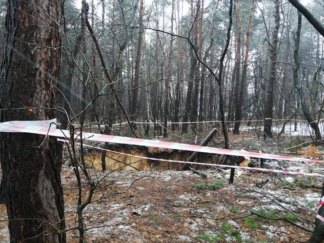 Trzebinia. W ciągu ostatniego półtora roku powstało tu około 25 zapadlisk. To oficjalne dane, bo mieszkańcy mówią nawet o dwukrotnej liczbie