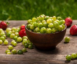 Dżem z agrestu i truskawek: sprawdzony przepis 