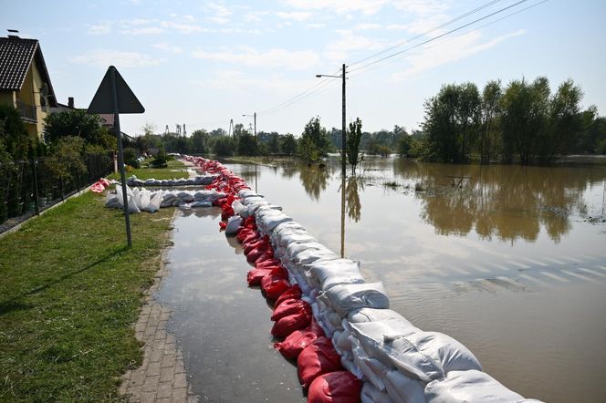 Tak wygląda Oława w czasach powodzi 2024 roku. Poruszający materiał