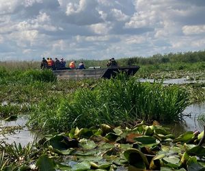 Zły stan wałów na Żuławach. „Są jak gąbka”