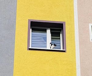 Kot zaklinował się w uchylonym oknie