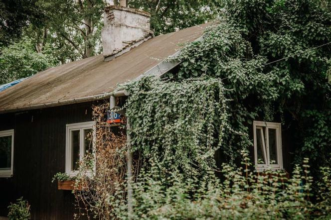 Ruszyły konsultacje dotyczące domków fińskich na Jazdowie. Jaka przyszłość czeka to wyjątkowe miejsce? 