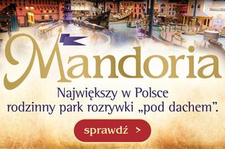 Park Rozrywki Mandoria już ruszył! Czym się wyróżnia? Jakie atrakcje?