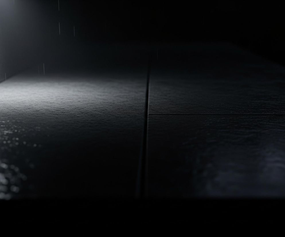 Ciemne, mokre powierzchnie. Po lewej stronie pionowo rozciąga się ściana o chropowatej teksturze, na którą pada światło z góry. Przed ścianą znajduje się pozioma płaszczyzna, również mokra i pofalowana, podzielona na widoczne kwadratowe segmenty. Całość jest słabo oświetlona, co tworzy kontrast między jasnymi refleksami na wodzie a głębokim cieniem w tle.