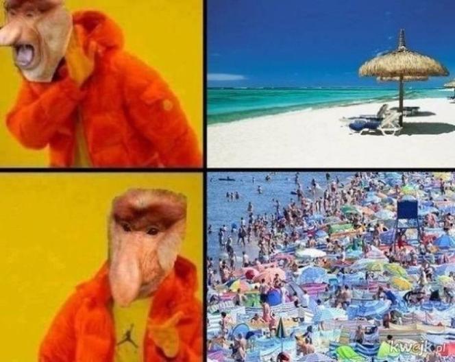 Wakacje rozpoczęte! Polacy ruszyli na plaże! Zobacz najlepsze MEMY!