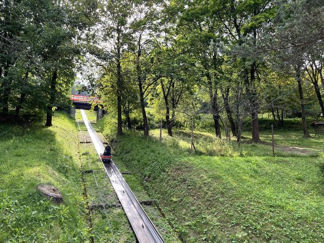 Krynica-Zdrój - zwiedzanie i atrakcje. Co tu zobaczyć i ile to kosztuje?