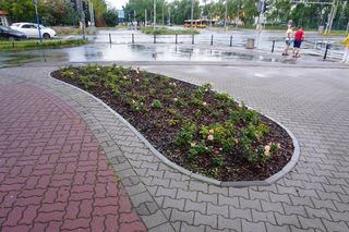 Kontrowersyjny skwerek na Ursynowie latem 2025