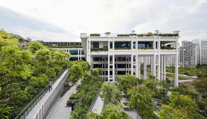 Oasis Terraces w Singapurze_Serie Architects_16