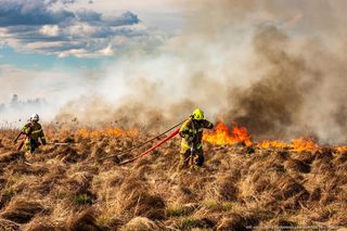 Pożar w Biebrzańskim Parku Narodowym objął już 400 ha!
