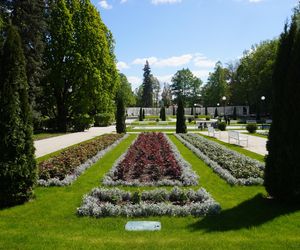 Różanka w Parku Planty po remoncie