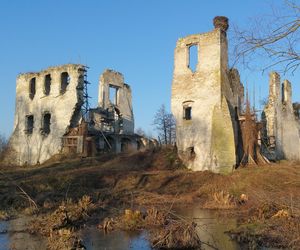 Ruiny zamku w Mokrsku Górnym