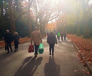 1 listopada na Cmentarzu Centralnym w Szczecinie