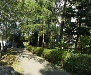 ABW w akcji. Znaleziono broń i materiały wybuchowe. Trwa ewakuacja