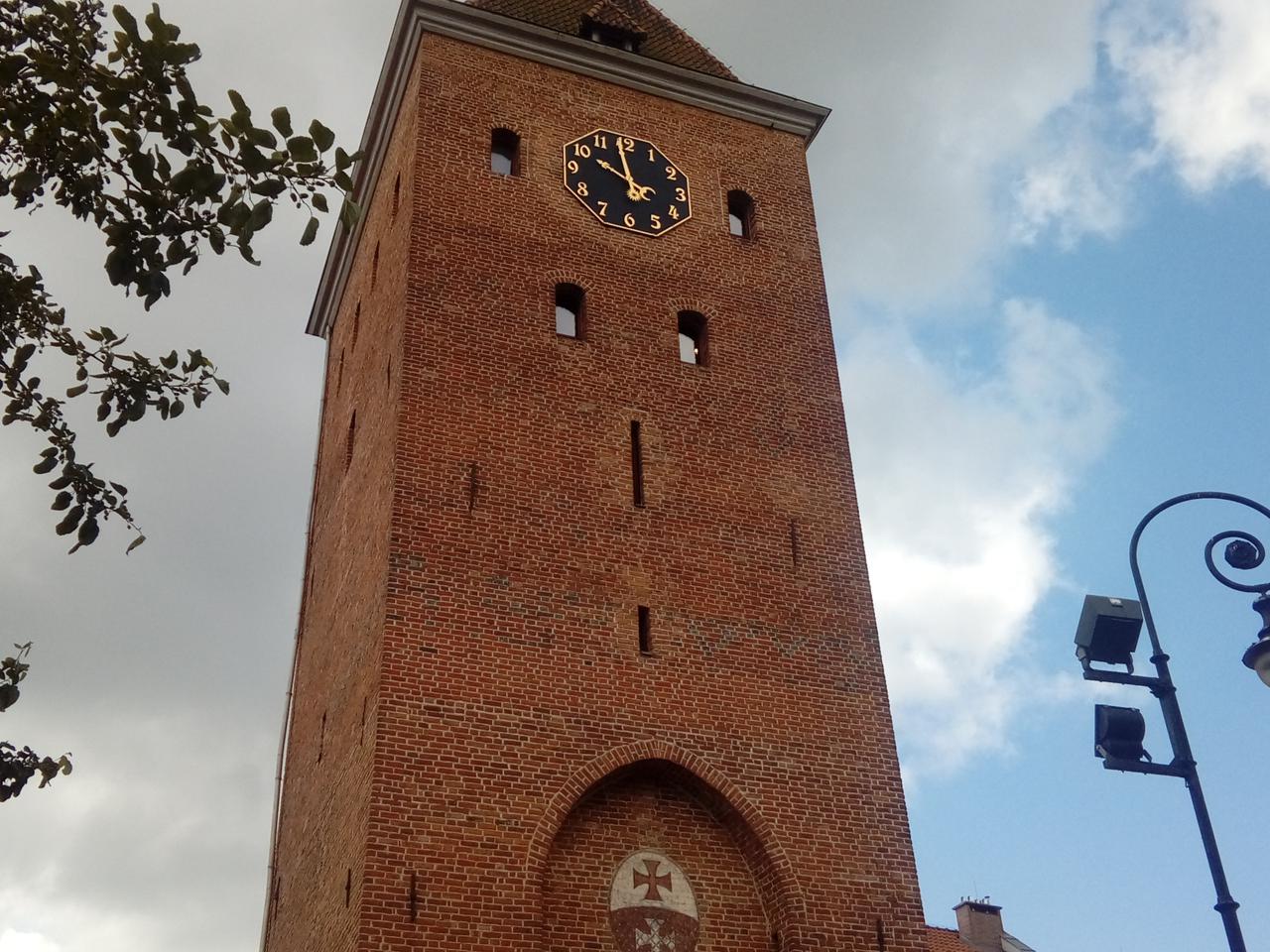 Czas na wybór. Ruszyło głosowanie ne projekty elbląskiego Budżetu Obywatelskiego