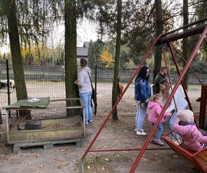 Zagroda 3 siostry w Kamieniu przyciągnęła całe rodziny w ciepły jesienny weekend ZDJĘCIA