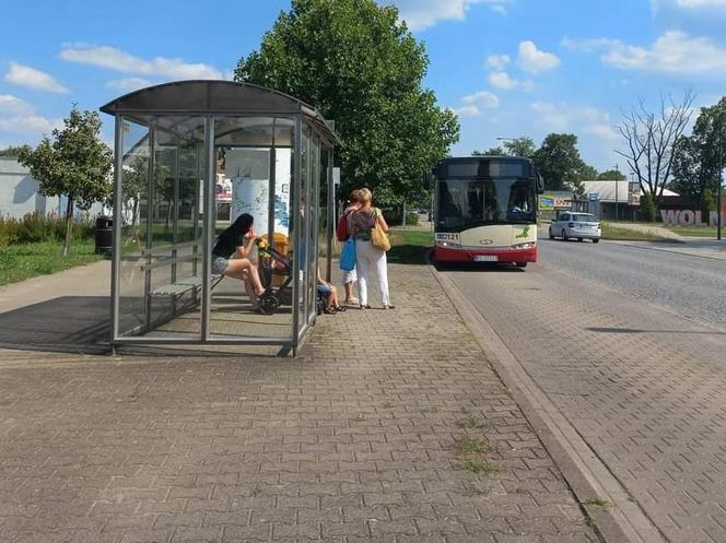 Autobusy elektryczne w maju