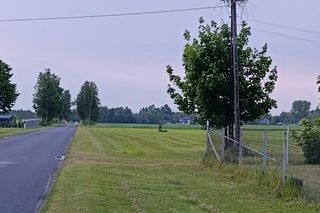 Ratował boćka na słupie, spadł z drabiny