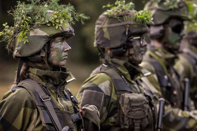 Szwedzka armia