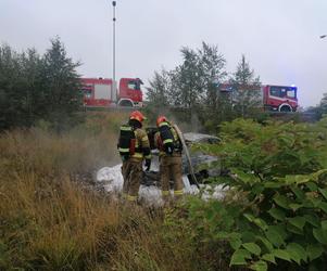 Wypadek w Łaziskach. Kierowca spłonął żywcem w BMW