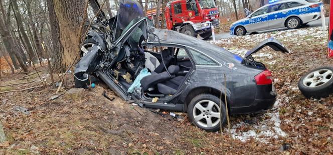 Audi roztrzaskało się na drzewie, 40-latek zginął na miejscu