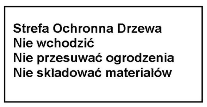 Uszkodzenia drzew. Ochrona drzew w mieście