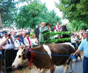 Mikstacka Arka Noego. Błogosławieństwo zwierząt podczas odpustu św. Rocha w Mikstacie